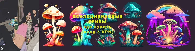 Галлюциногенные грибы ЛСД  Кудрово 